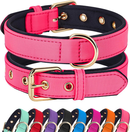 Didog Soft Padded Dog Collars for Small Dogs, Lightweight and Breathable Pink Dog Collar with Metal