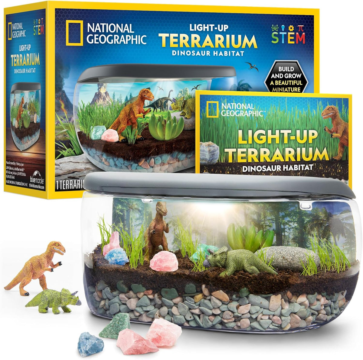 NATIONAL GEOGRAPHIC Light Up Terrarium Kit for Kids - Build a Dinosaur Habitat with Real Plants &