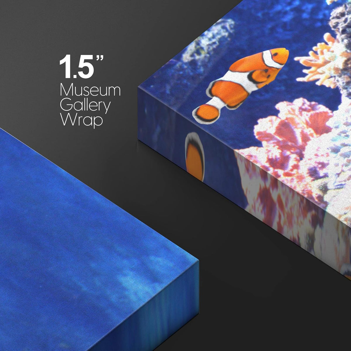 wall26 Canvas Print Wall Art Clownfish Underwater Tropical Coral Reef Nature Animals Photography