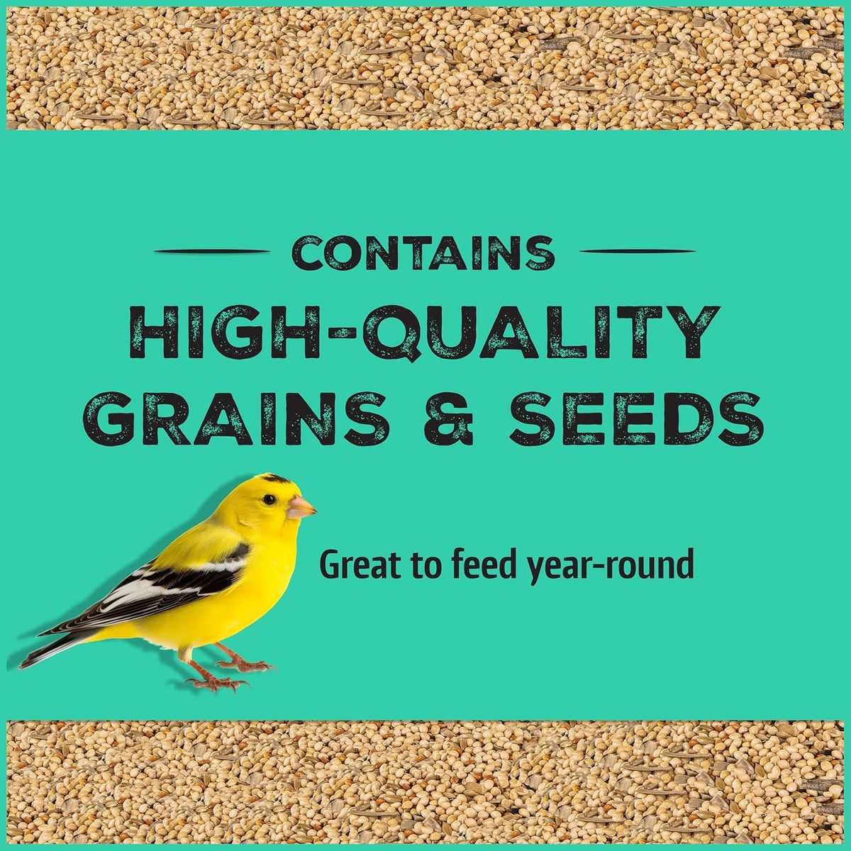 Pennington Pride Wild Finch Blend, Wild Bird Seed for Outside Feeders, Special Mix for a Variety of