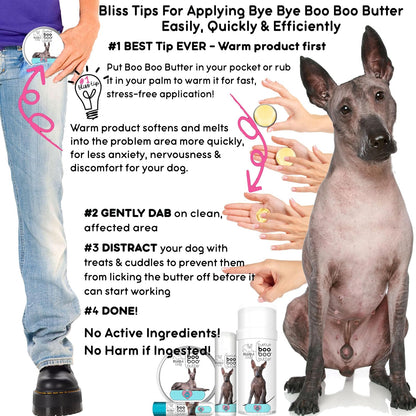 The Blissful Dog Xoloitzcuintli Boo Boo Butter, 1-Ounce