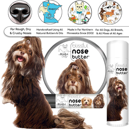 The Blissful Dog Havanese Nose Butter for Dry, Cracked Skin, Lick-Safe Dog Nose Balm with