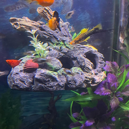 Aquarium Decor Magnetic Driftwood Outcropping Ornament – Wall-Mounted Fish Tank Decoration – Unique