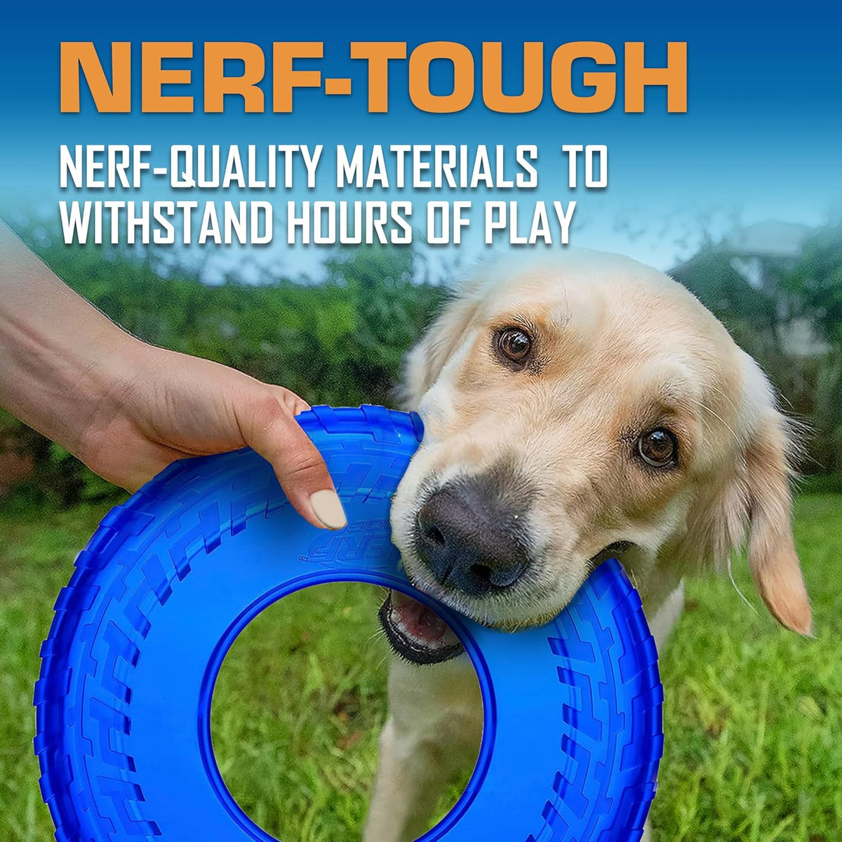 Nerf Dog Tire Flyer Dog Toy Gift Set, 10 Inch Flying Disc Dog Fetch Toys, Rubber Dog Toy for Medium