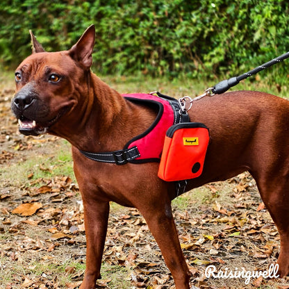 Dog Treat Pouch for Pet Walking and Training with Clicker Poop Bags Small Fanny Zipper Pack Holder