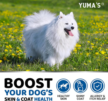 Omega 3 Fish Oil for Dogs - 170 Chews - Skin and Coat Supplement - Omega 3 for Dogs - Dry & Itchy