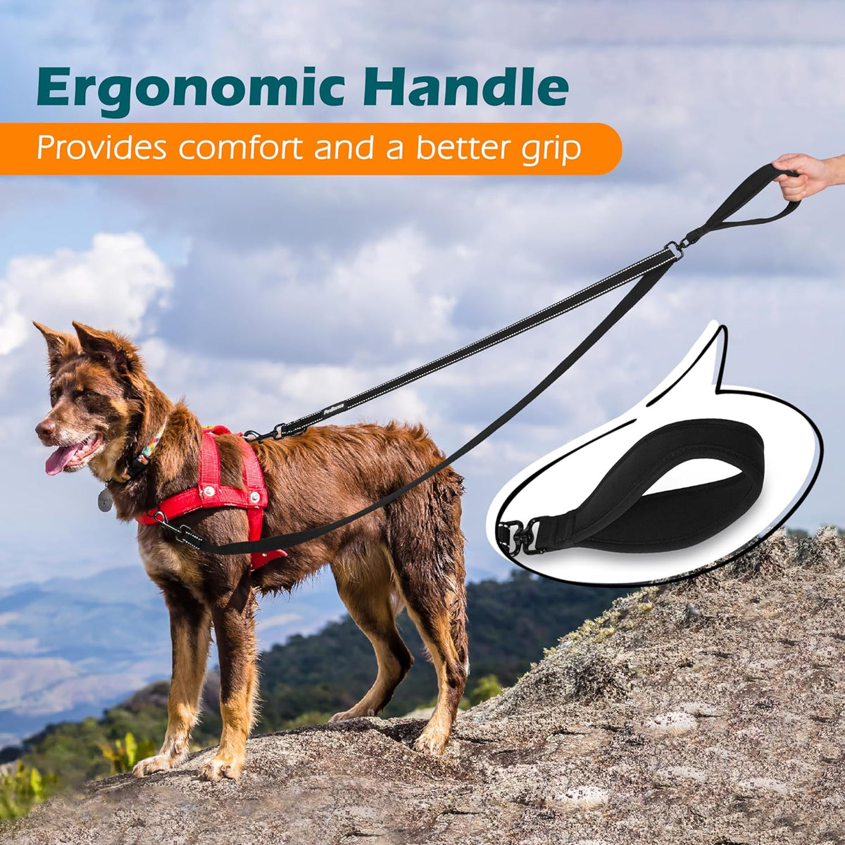 PetBonus Two Point Control Dog Leash, Works with No Pull Harnesses, No Tangle Training Leashes