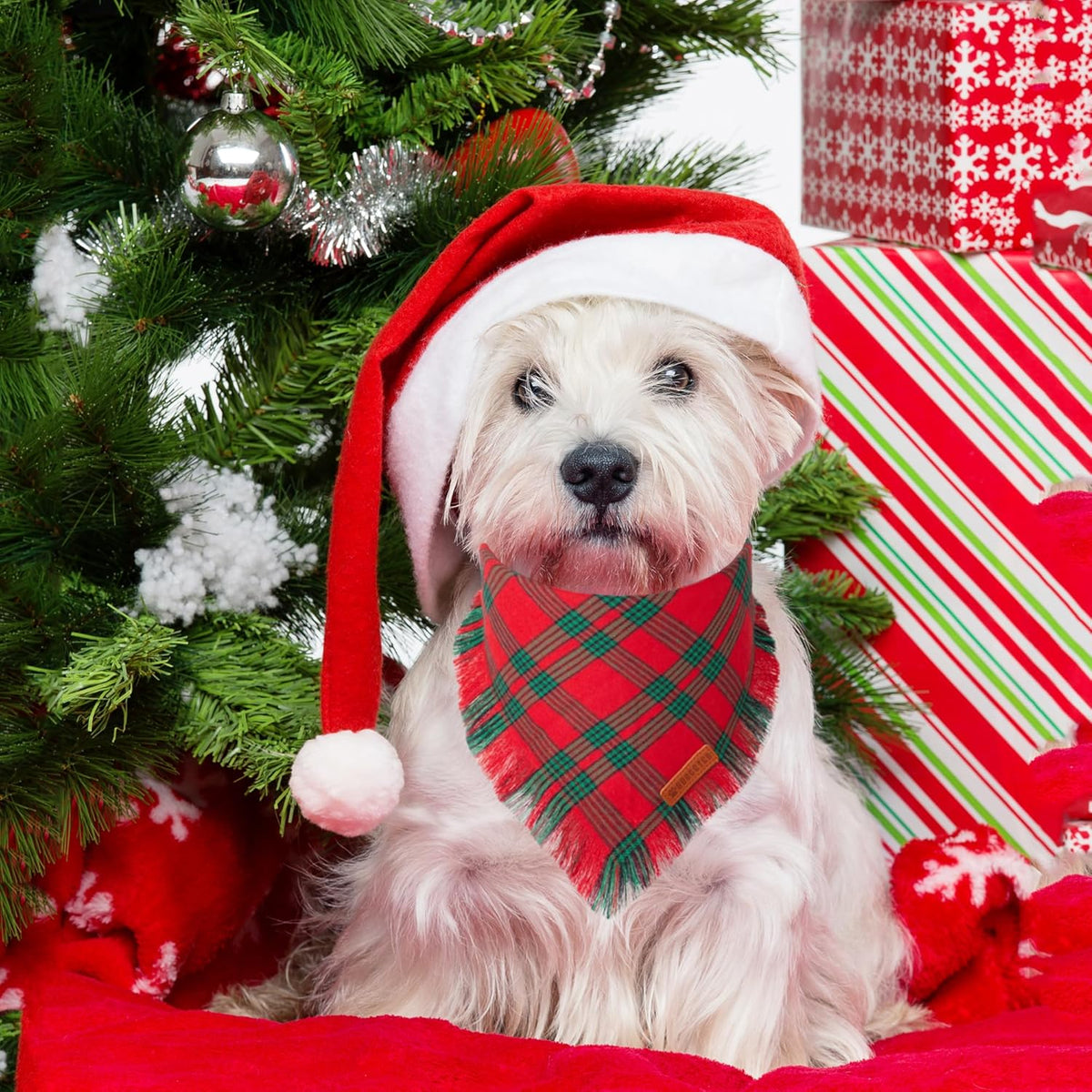 ADOGGYGO Christmas Dog Bandanas with Tassels, Red Green Plaid Pet Xmas Scarf Bib, Multiple Sizes