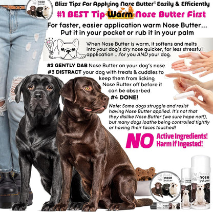 The Blissful Dog Labrador Retriever Unscented Nose Butter, 4-Ounce