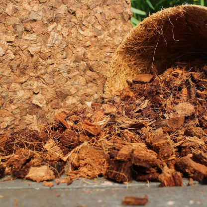 Coco Chips for Plants (650gm Bricks, 5-Pack) - Organic Coco Coir Chips - Coconut Husk Chips for