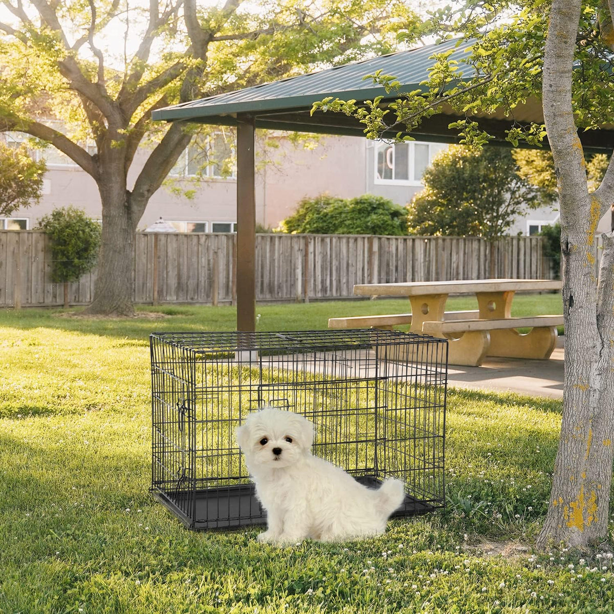 FDW Dog Crate for Small Dogs 24 Inch Folding Metal WirePet Cage Double Door W/Divider Panel Indoor