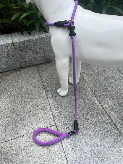 Slip Lead Dog Leash，Strong Nylon Rope Leash and Padded Handle,No Pull Outdoor Walking Training Lead