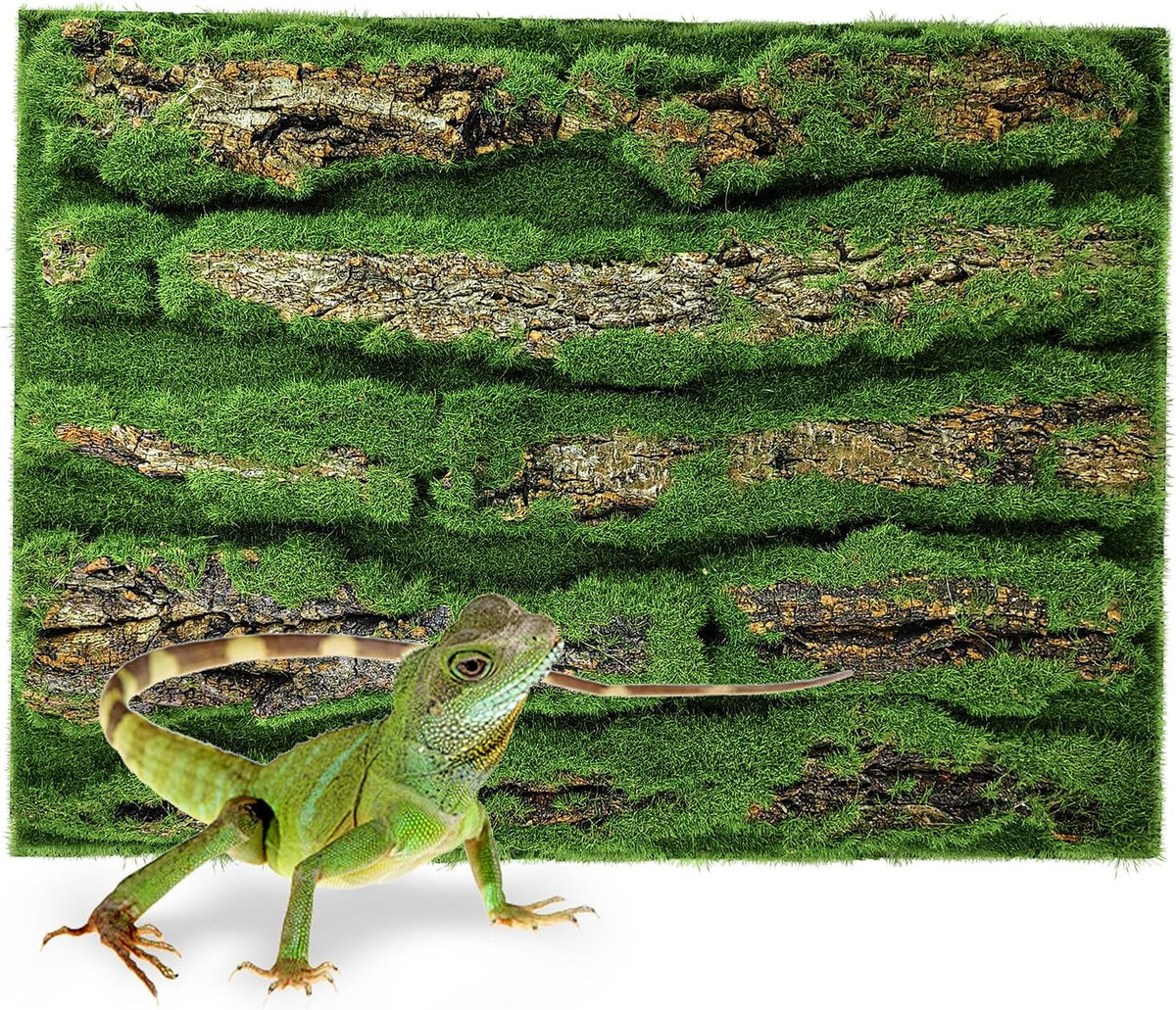 15.75x11.81in Reptile Terrarium Cork Background,Bearded Dragon Tank Bark Backdrop Wall Decor with