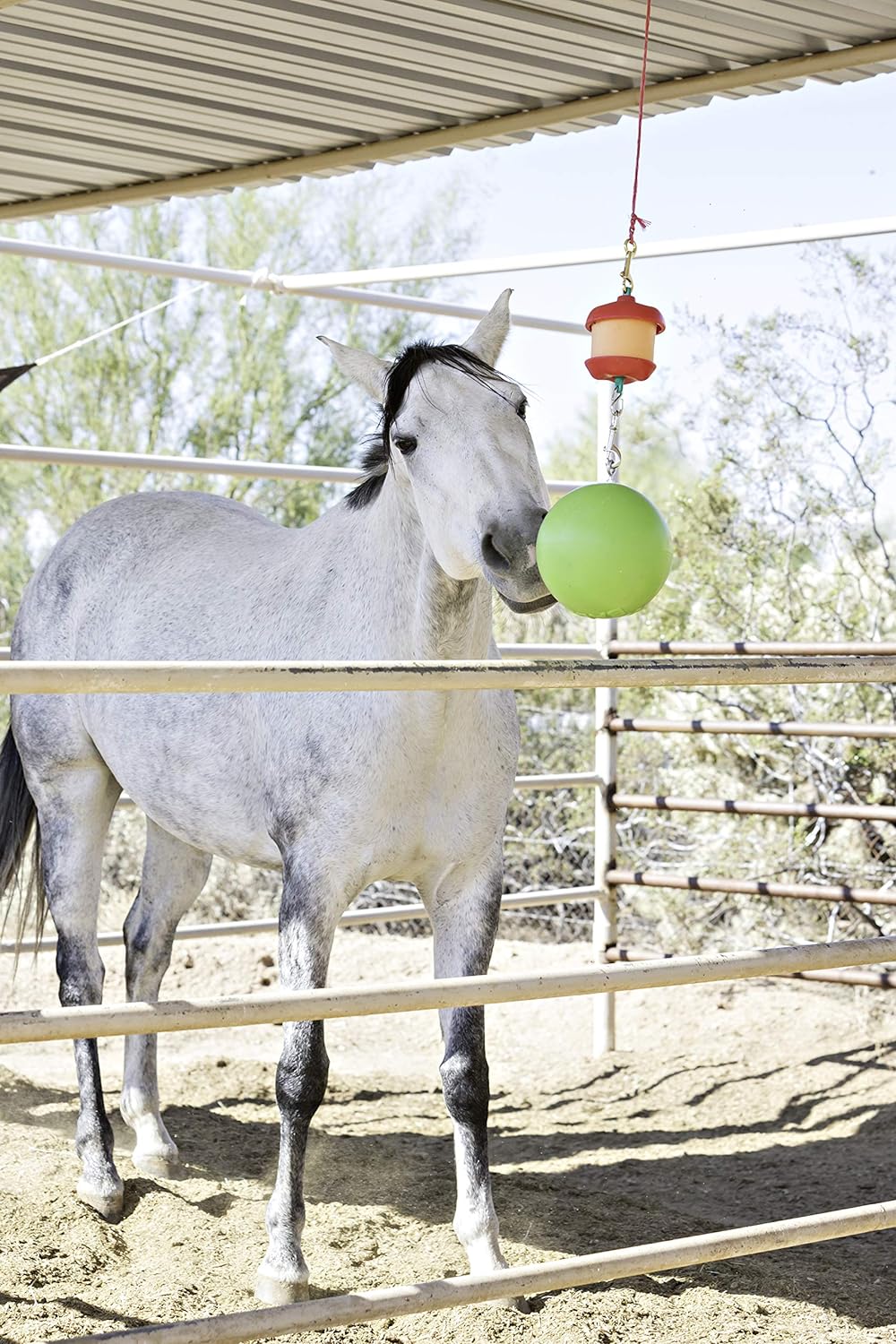 Horsemen's Pride Combo Horse Stall Toy: Apple Scented Jolly Ball and Apple Flavored Snack Holder