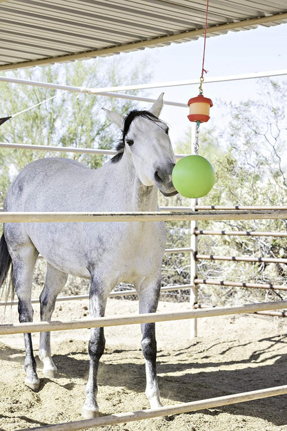 Horsemen's Pride Combo Horse Stall Toy: Apple Scented Jolly Ball and Apple Flavored Snack Holder
