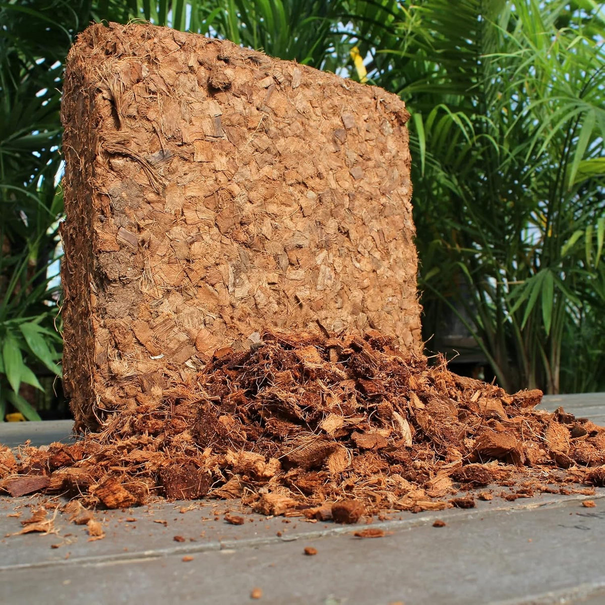 Organic Coco Chips for Plants (10lbs) - Coco Coir Chips - Coconut Husk Chips for Potting Soil