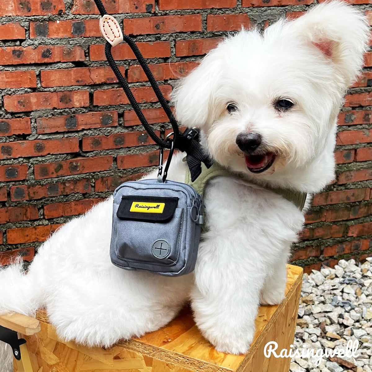 Dog Treat Pouch for Pet Walking and Training with Clicker Poop Bags and Three Bags Design Small