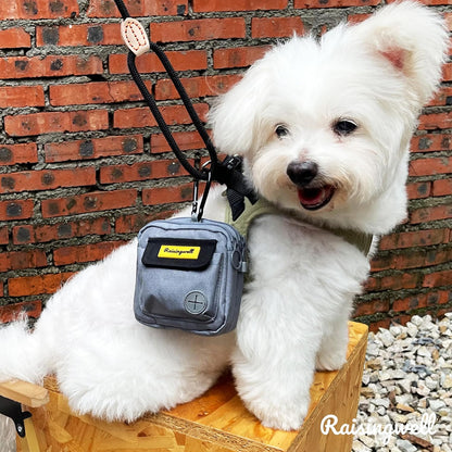 Dog Treat Pouch for Pet Walking and Training with Clicker Poop Bags and Three Bags Design Small