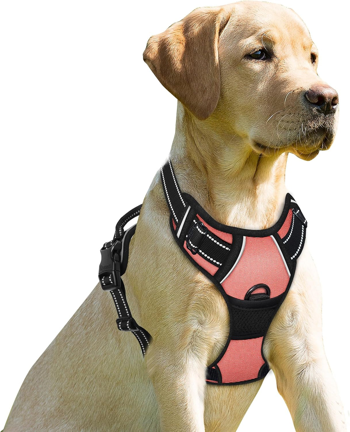 BARKBAY No Pull Dog Harness Front Clip Heavy Duty Reflective Easy Control Handle for Large Dog