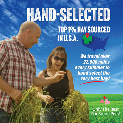 Small Pet Select 1st Cutting Timothy Hay, Animal Food for Guinea Pig, Rabbit, Hamster, Bunny, or