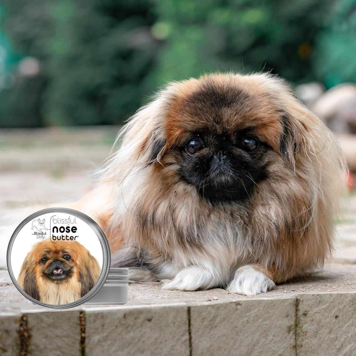 The Blissful Dog Pekingese Nose Butter for Dry, Cracked Skin, Lick-Safe Dog Nose Balm with