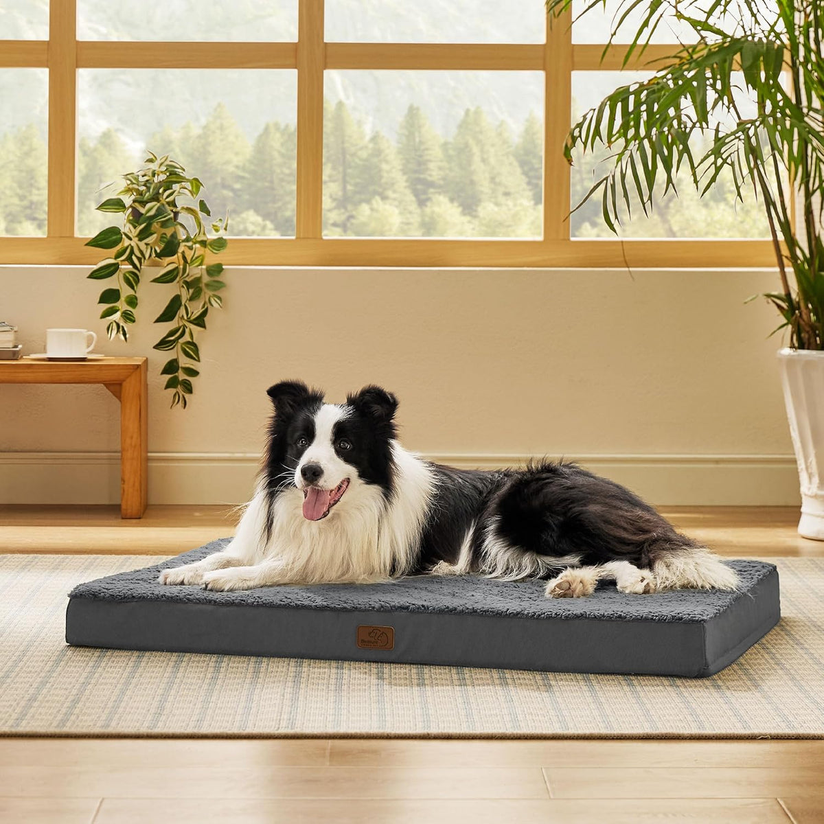 Bedsure Dog Beds Large Sized Dog - Orthopedic Flat Pet Beds with Removable Washable Cover, Egg