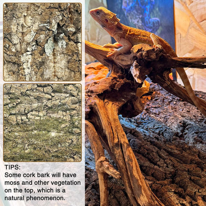 Fhiny 10 PCS Cork Bark Background, 11.6" x 7.7" Natural Cork Bark for Reptiles Bearded Dragon