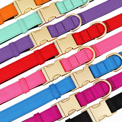 Didog Soft Padded Dog Collars for Small Dogs, Colorful and Durable Dog Collar with Quick Release