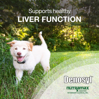 Nutramax Denosyl Liver and Brain Health Supplement for Medium Dogs - With S-Adenosylmethionine