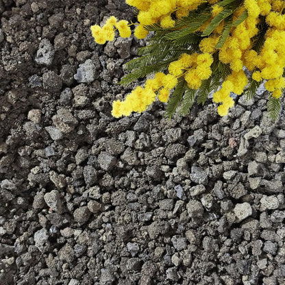 Lava Rocks for Plants (3/8’’ Minus), Natural Black Lava Rocks, Succulent & Terrarium Horticultural