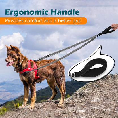 PetBonus Two Point Control Dog Leash, Works with No Pull Harnesses, No Tangle Dog Training Leashes
