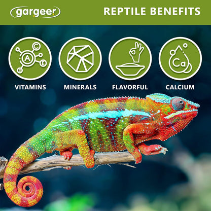 All Reptiles Color Enhancer. Magnify Vibrant Colors, and Boost Health with Much Needed Minerals and