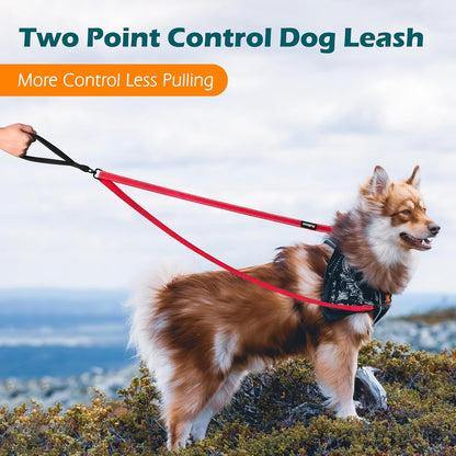 PetBonus Two Point Control Dog Leash, Works with No Pull Harnesses, No Tangle Dog Training Leashes