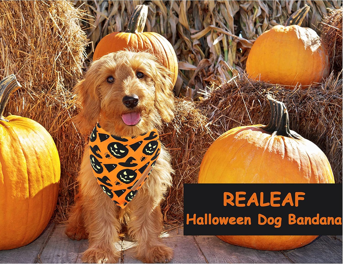 Realeaf Halloween Dog Bandanas 2 Pack, Pumpkin and Spider Web Bibs, Triangle Reversible Fall Pet