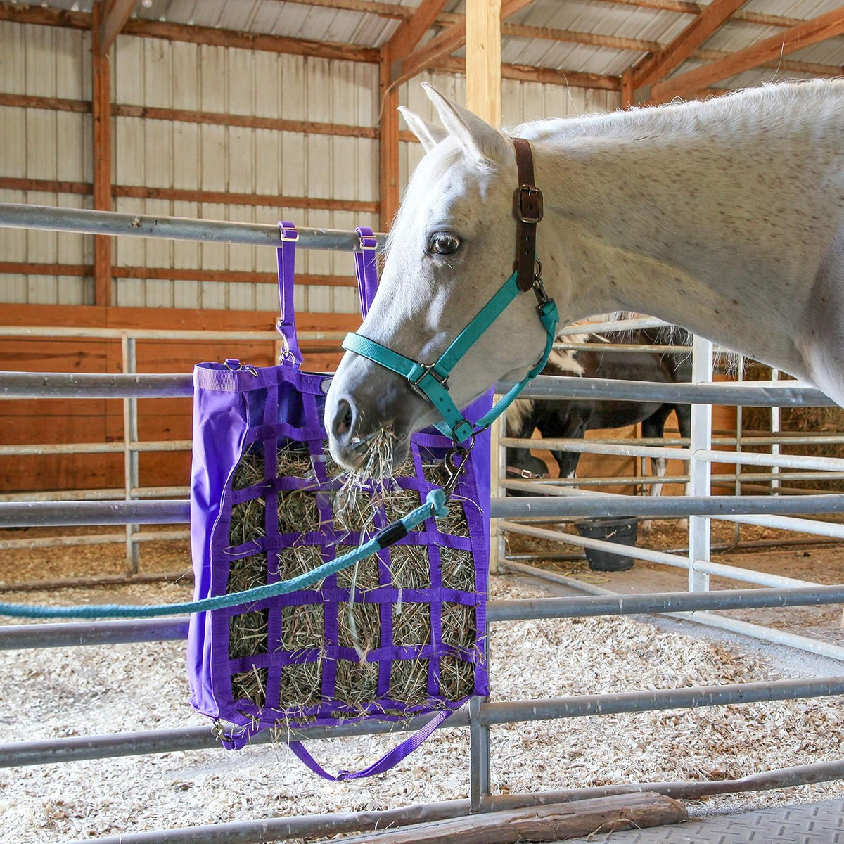 Majestic Ally Leather Halter with Matching Lead Rope for Horses – Leather Breakaway Crown