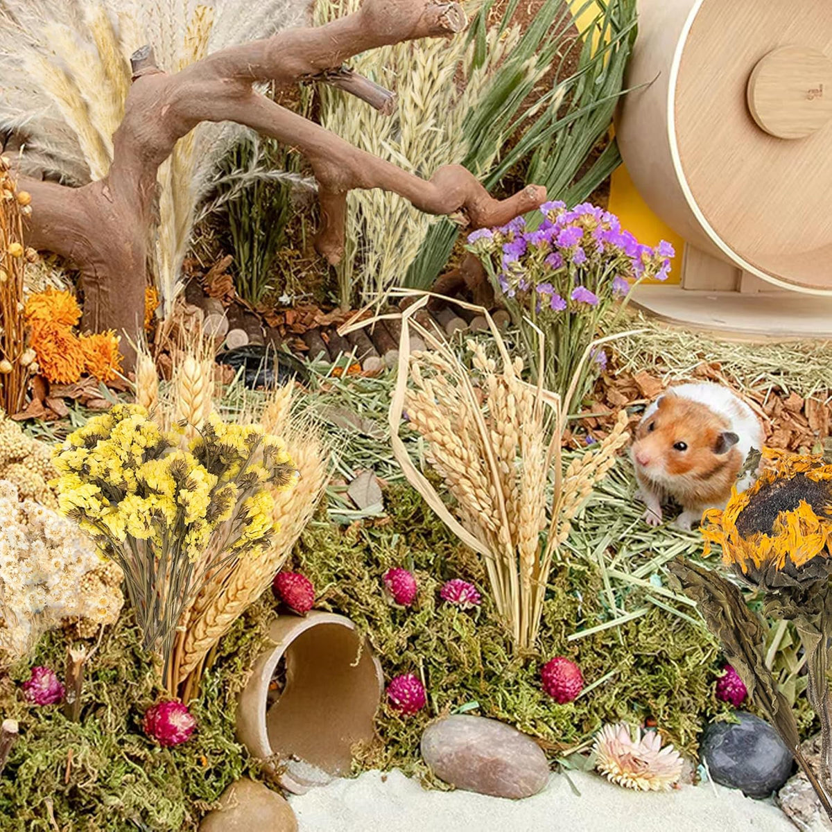 Natural Ear of Grain Flower&Herb Bedding Mate Habitat Decor, Adding Fun Hamster Accessories for