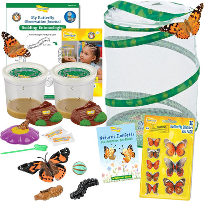 Insect Lore Butterfly Garden Kit with Live Caterpillars – Grow 10 Painted Lady Butterflies | STEM