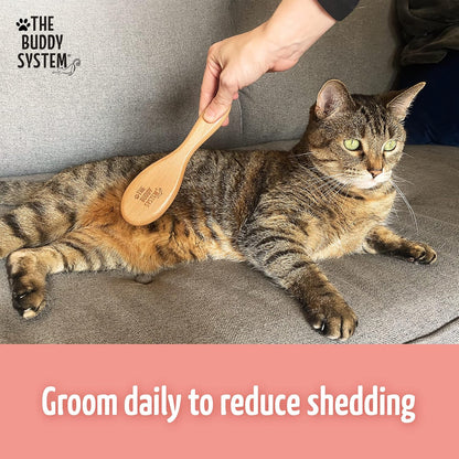 The Buddy System Cat Brush with Boar Bristle and Wooden Handle, Professional Grade Daily Grooming