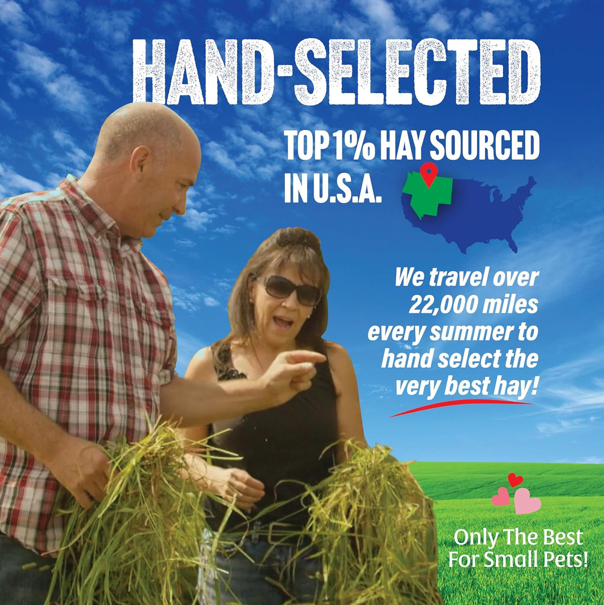 Small Pet Select Oat Hay Pet Food, 2 Lb.
