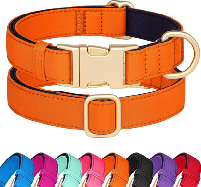 Didog Soft Padded Dog Collar for Large Dogs, Colorful and Durable Pet Collar with Quick Release