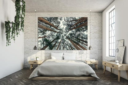Nature Wall Art Prints - Ocean Forest Mountain Lake Canvas Landscapes - Small to Extra Large Living