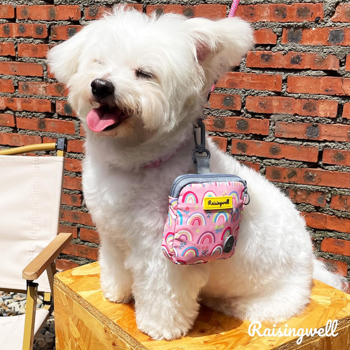 Dog Treat Pouch for Pet Walking and Training with Clicker Poop Bags Small Fanny Zipper Pack Holder