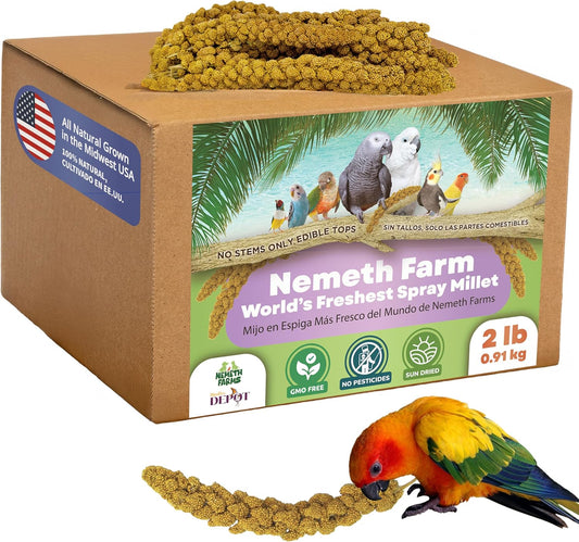 Nemeth Farms–Natural Sun Dried Millet Spray for Pet Birds–Bulk Parrot Seed Treats and Parrot