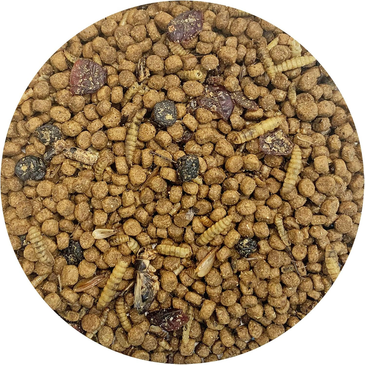 Berries & Bugs 3 lb. - All Natural High Protein High Fiber Insectivore Diet with Fruit, Gut-Loaded
