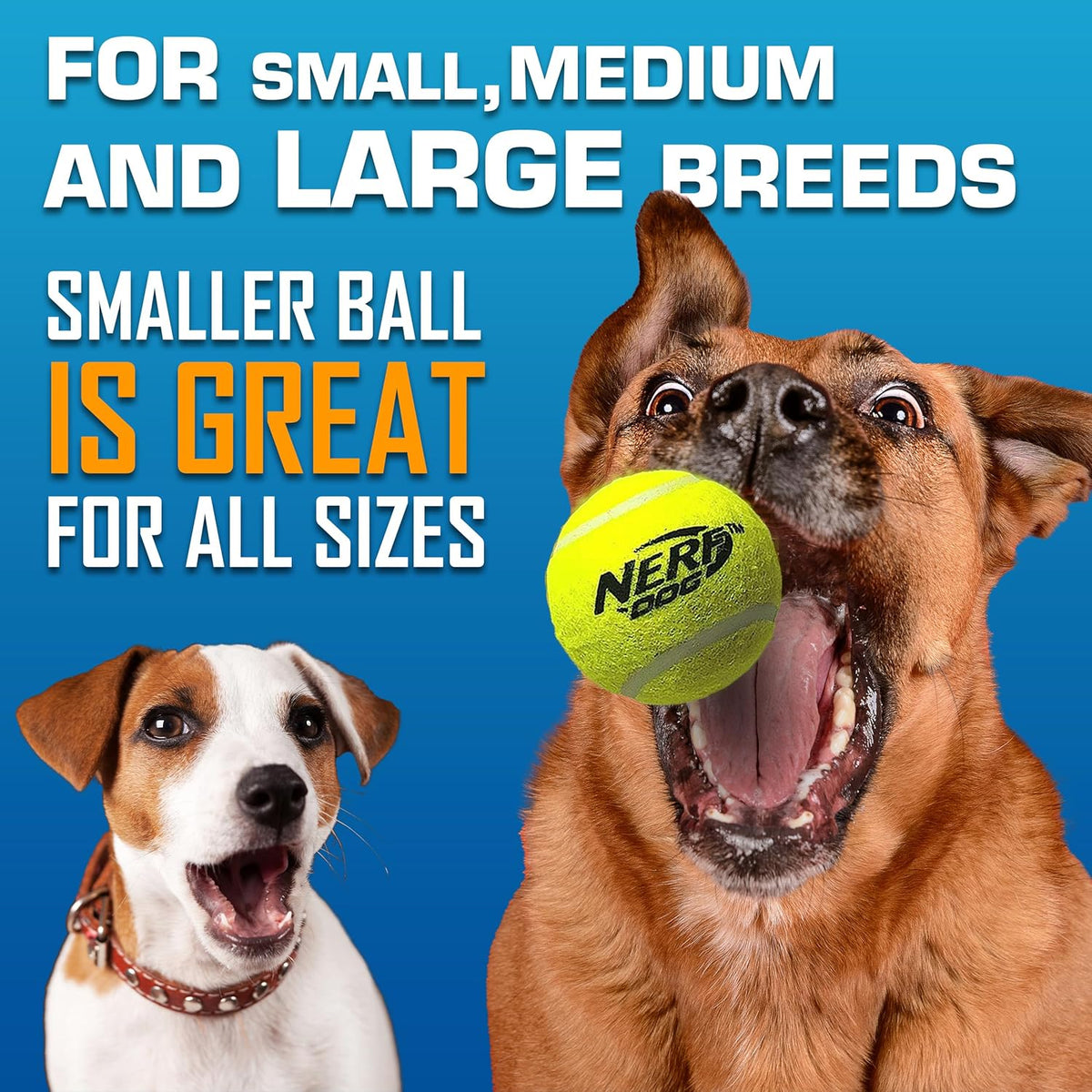 Nerf Dog Tennis Ball Blaster Dog Toy Gift Set, Tennis Ball Dog Fetch Toy Launches up to 50 ft, Dog