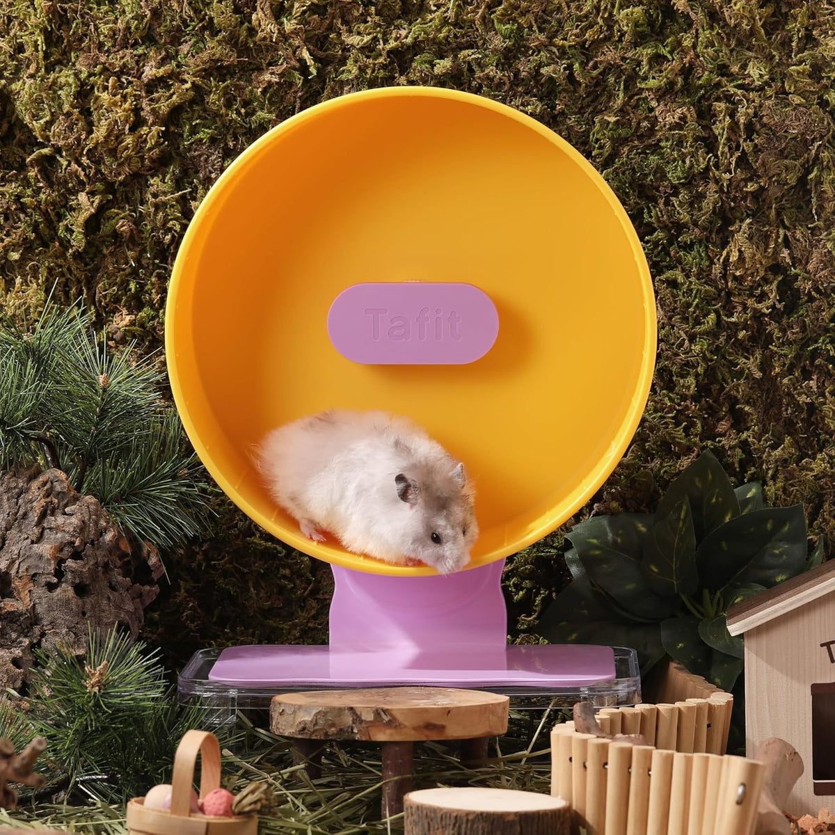 Silent Hamster Wheel 8.7 Inch Dual-Bearings Small Animals Quiet Running Exercise Wheels, Height