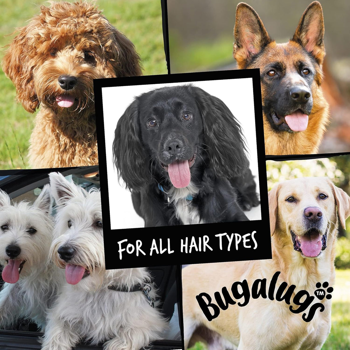 Dog Shampoo Luxury 2 in 1 Papaya & Coconut Dog Grooming Shampoo Products for Smelly Dogs with