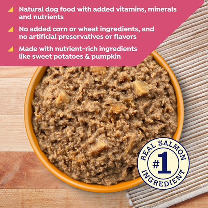 Nature's Recipe Grain Free Salmon, Sweet Potato, and Pumpkin Recipe Wet Dog Food, 13 oz. Can, 12