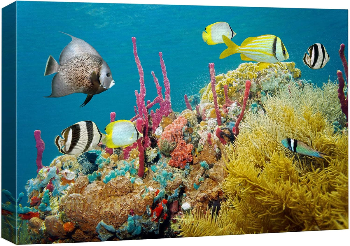 wall26 Canvas Print Wall Art Deep Sea Marine Fish with Coral Reef Nature Ocean Photography Realism