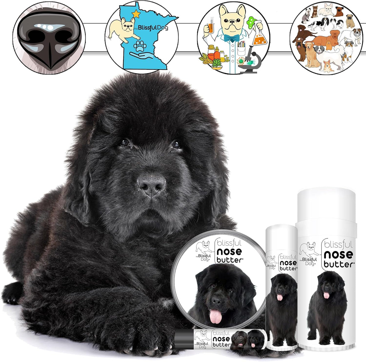 The Blissful Dog Newfoundland Nose Butter for Dry, Cracked Skin, Lick-Safe Dog Nose Balm with